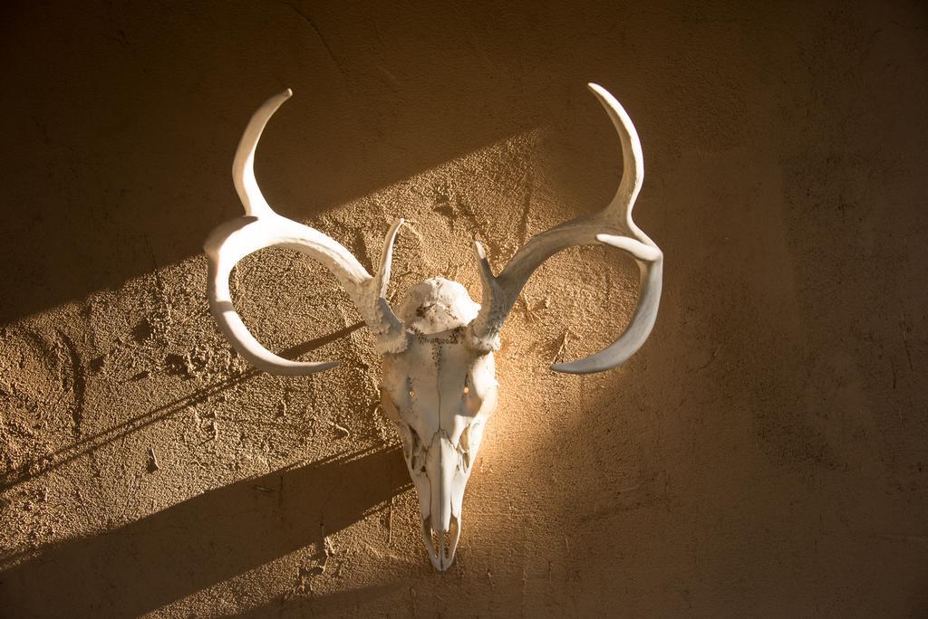 Inn Of The Turquoise Bear Santa Fe Buitenkant foto